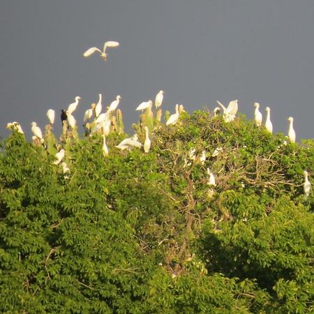 Готель Chapwani Private Island Grave Island Екстер'єр фото