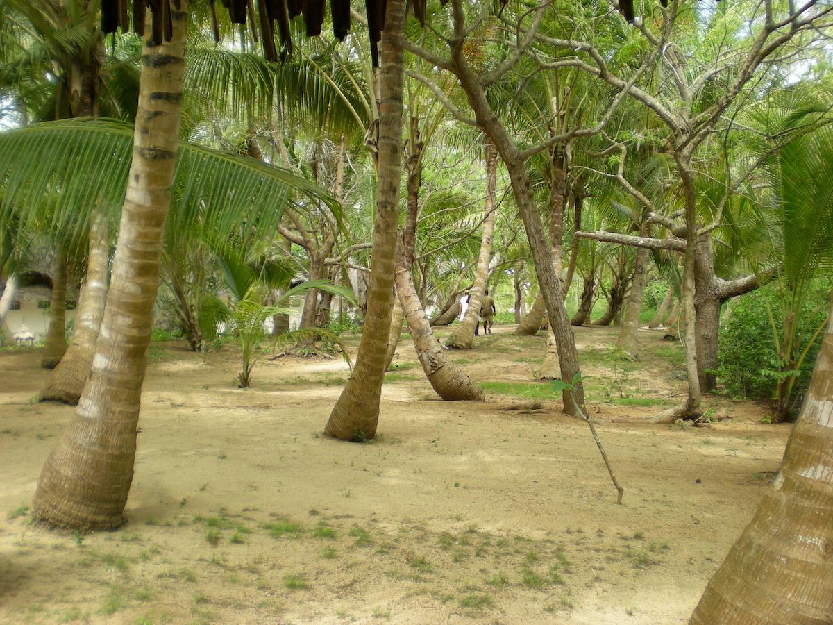 Готель Chapwani Private Island Grave Island Екстер'єр фото