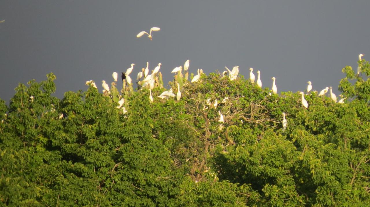 Готель Chapwani Private Island Grave Island Екстер'єр фото